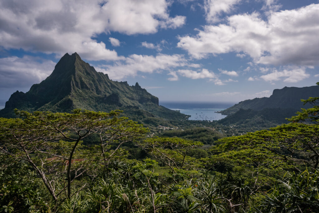 polinezja francuska moorea