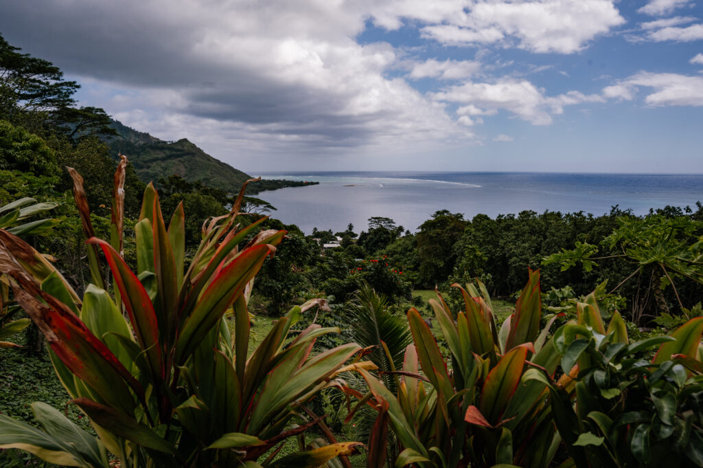 polinezja francuska moorea