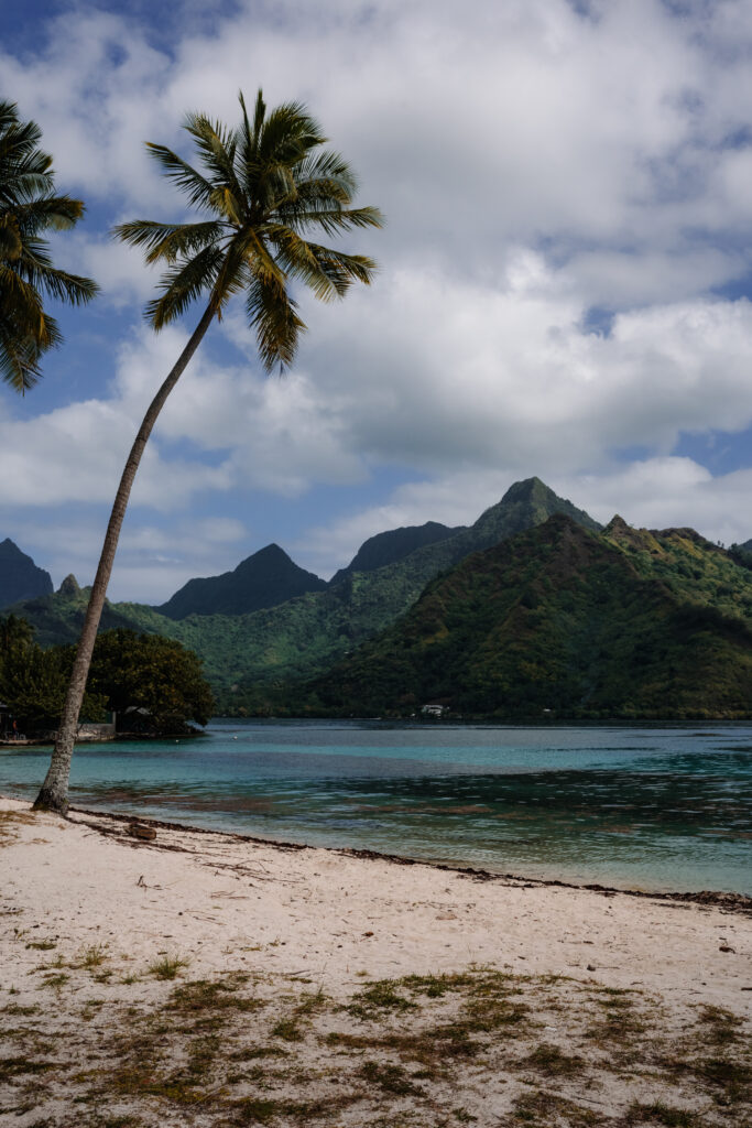 polinezja francuska moorea