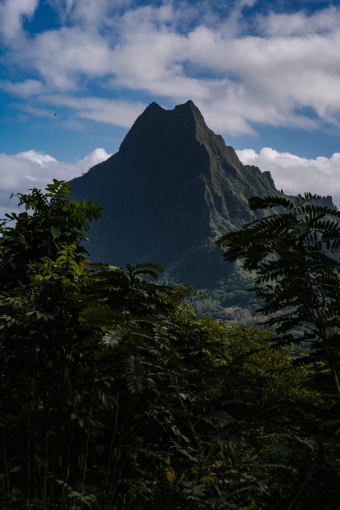 polinezja francuska moorea