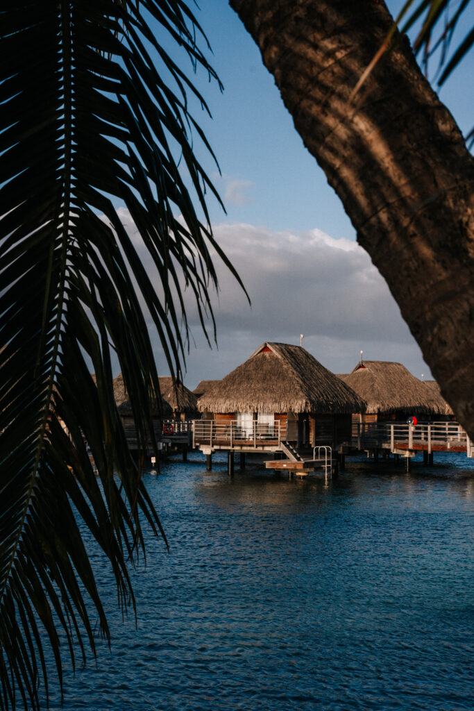 polinezja francuska moorea manava