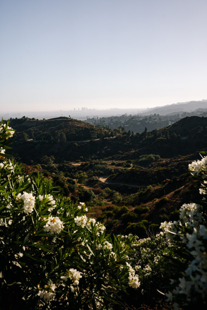 los angeles co zobaczyć przewodnik