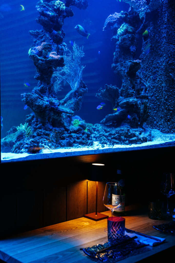nami beef and reef kraków