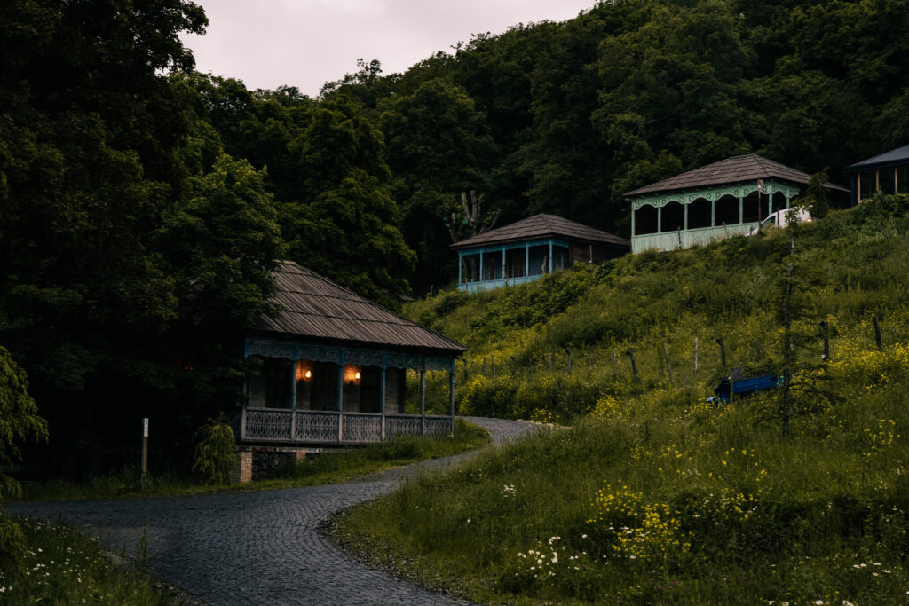 kiketi farm gruzja