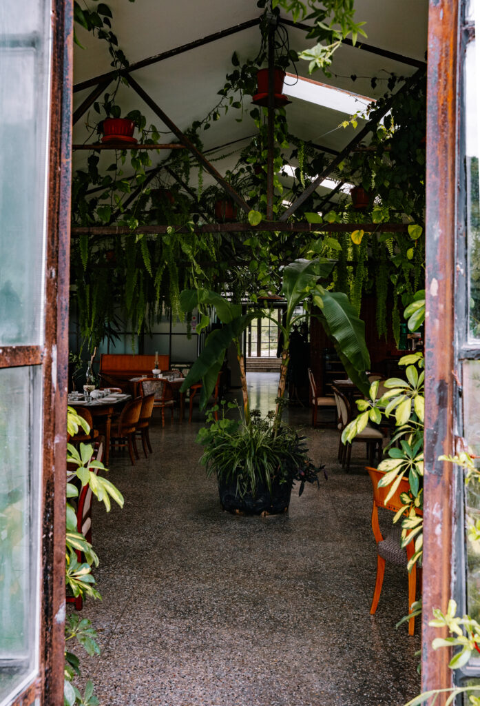 kiketi farm gruzja