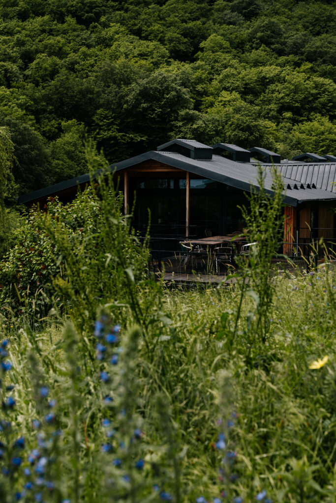 kiketi farm gruzja