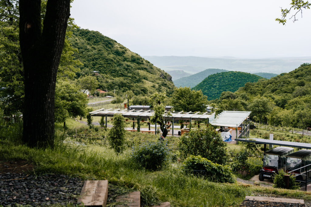 kiketi farm gruzja